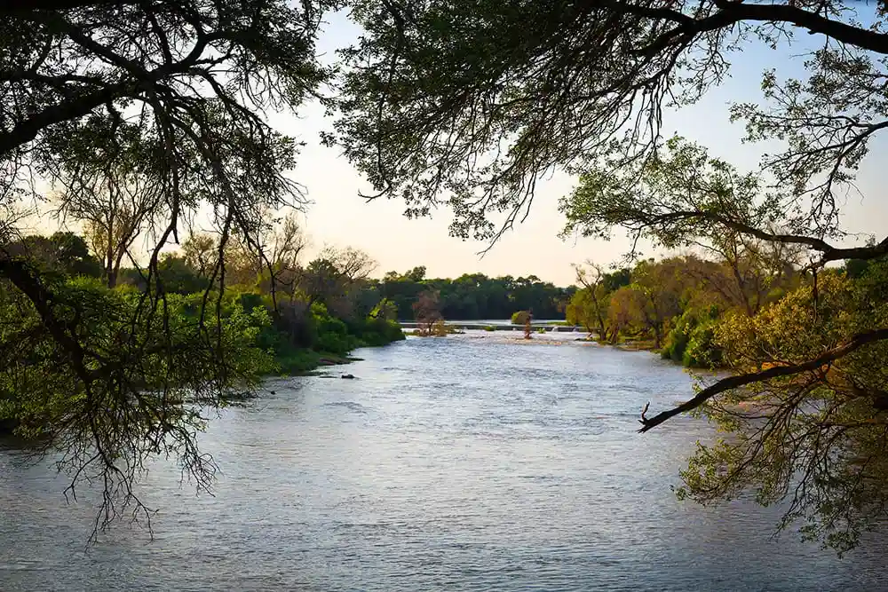 Paquete de caza exclusivo en el delta del Okavango.